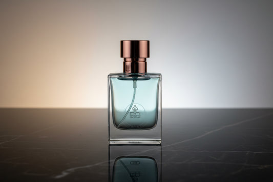 If you like Versace Pour Homme